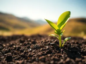 Co to jest baza danych? Kluczowe informacje dla początkujących