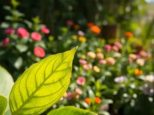 Private Compute Services: co to i jak wpływa na bezpieczeństwo danych?